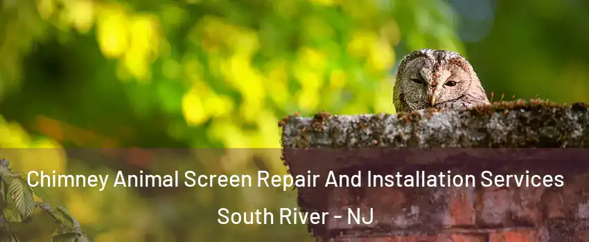 Chimney Animal Screen Repair And Installation Services South River - NJ