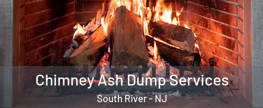  Chimney Ash Dump Services South River - NJ