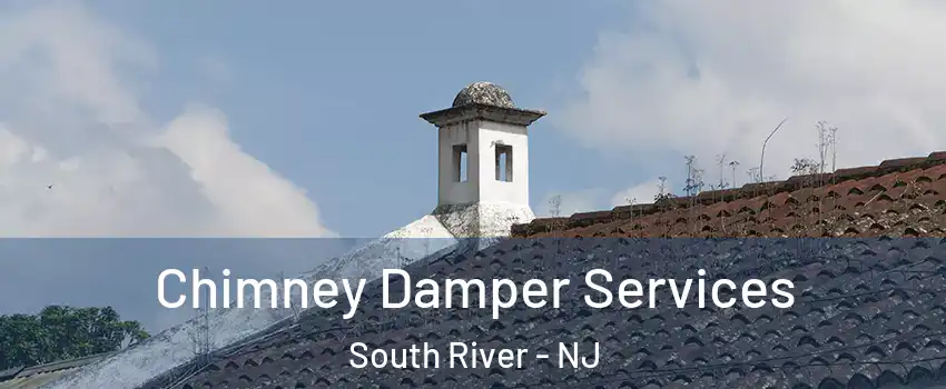  Chimney Damper Services South River - NJ