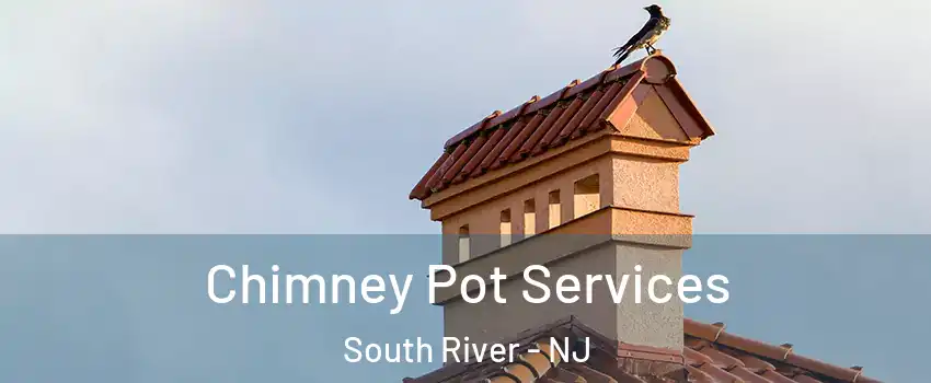  Chimney Pot Services South River - NJ