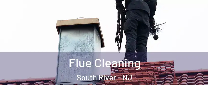  Flue Cleaning South River - NJ