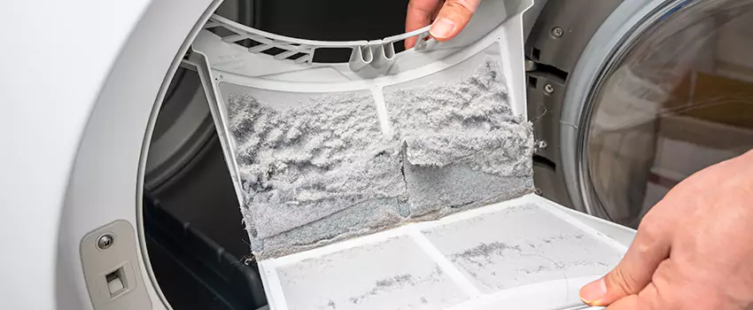 Best Dryer Lint Removal Company in South River, New Jersey