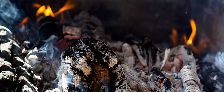 Creosote Removal Experts in South River, NJ