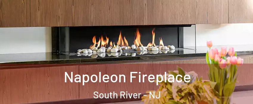  Napoleon Fireplace South River - NJ