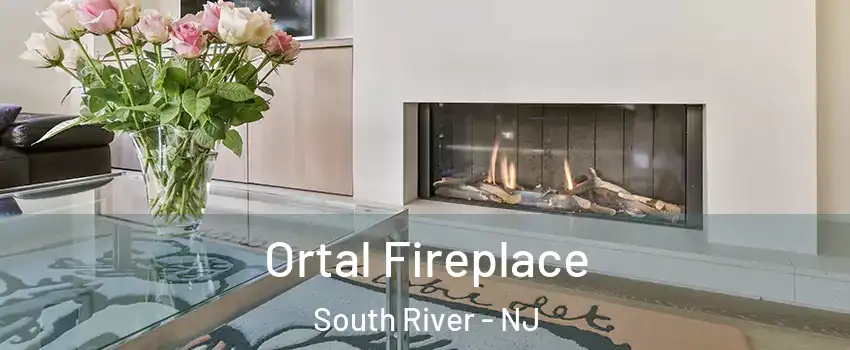  Ortal Fireplace South River - NJ